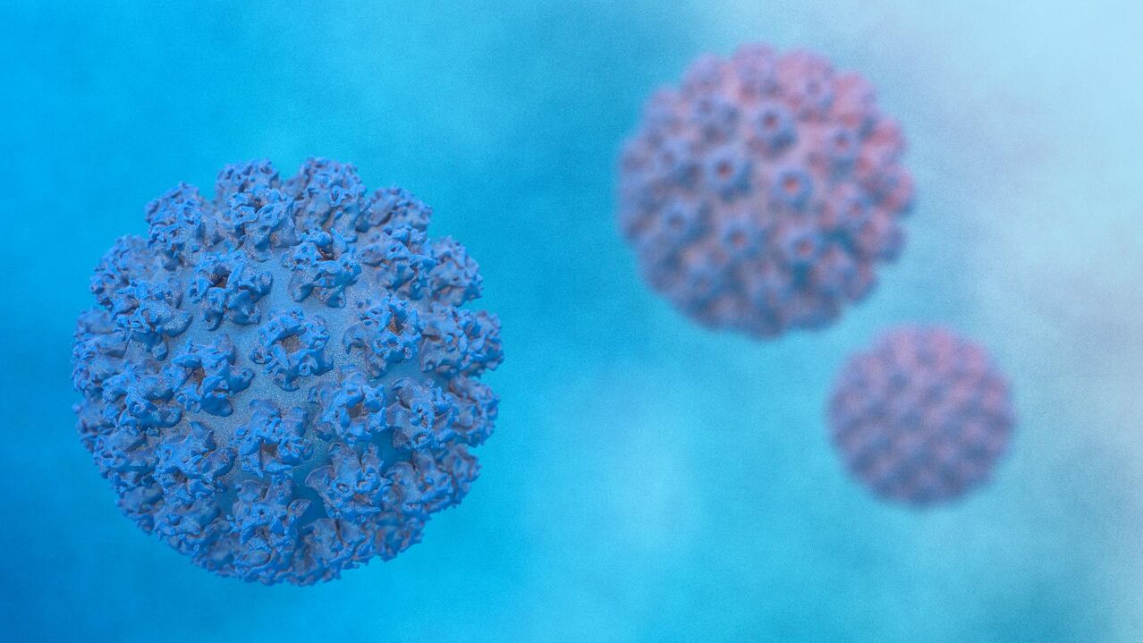 Papiloma