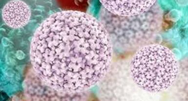 virus del papiloma