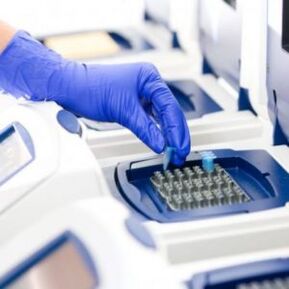 Análisis de PCR